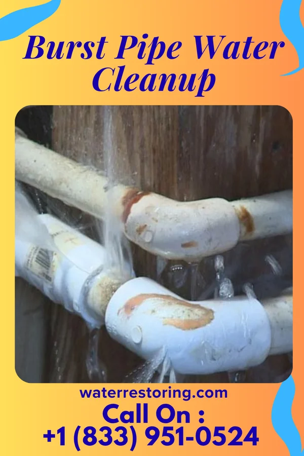 Burst Pipe Water Cleanup in Panama, NY