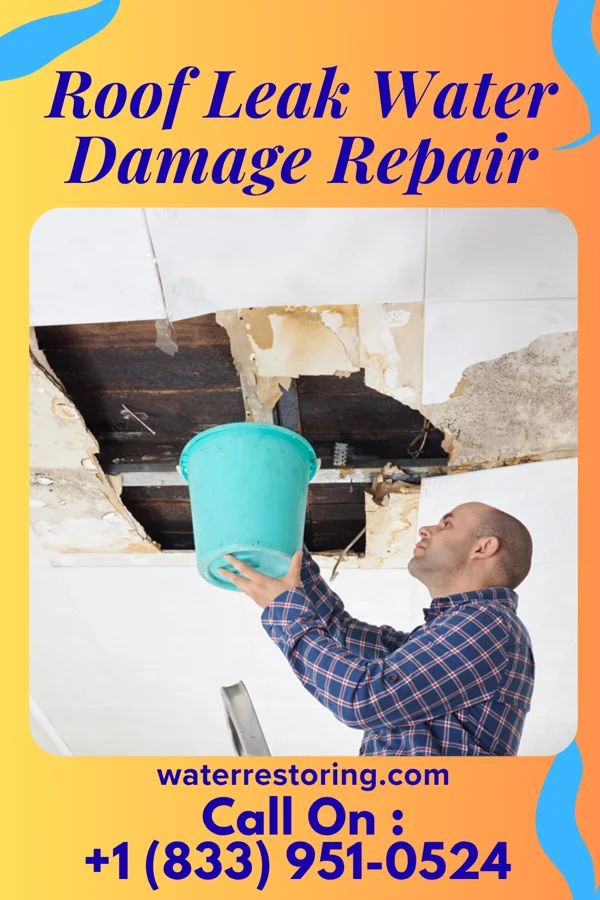Roof Leak Water Damage Repair in Panama, NY