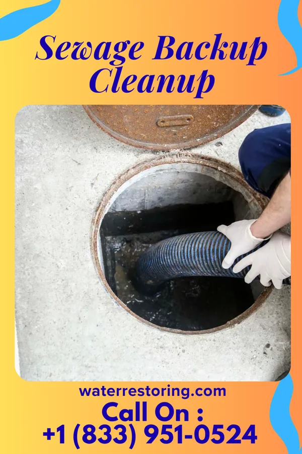 Sewage Backup Cleanup in Panama, NY