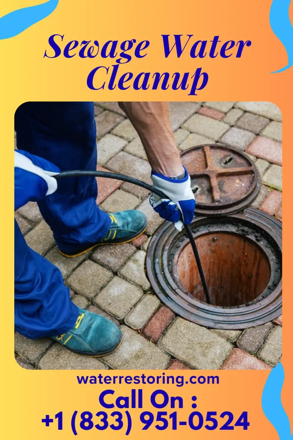 Sewage Water Cleanup in Panama, NY