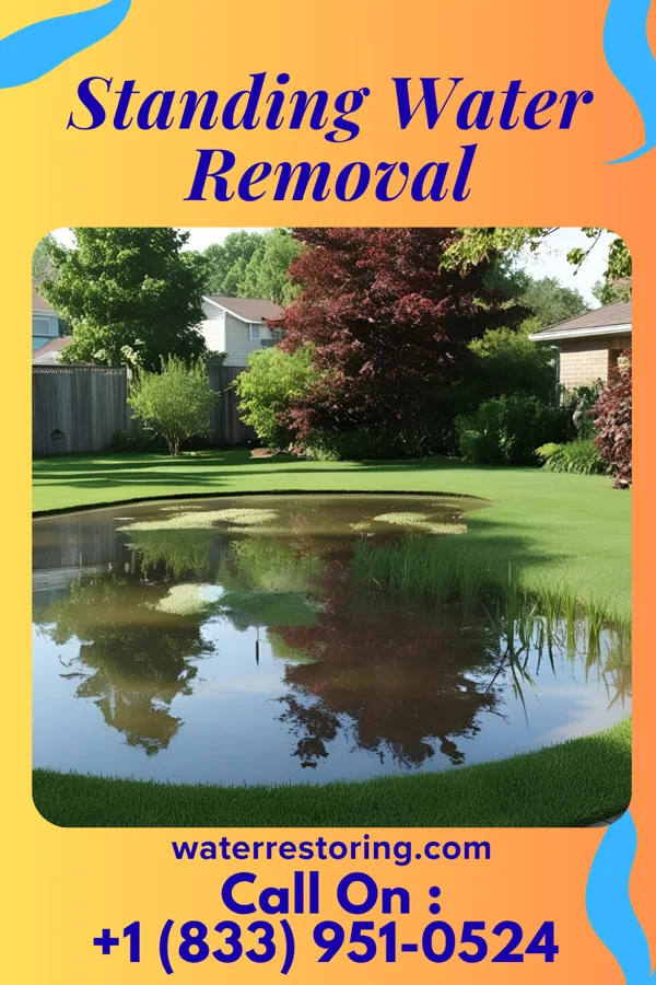 Standing Water Removal in Panama, NY